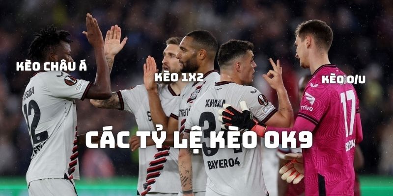Giải nghĩa về tỷ lệ kèo OK9 cho anh em dễ hiểu